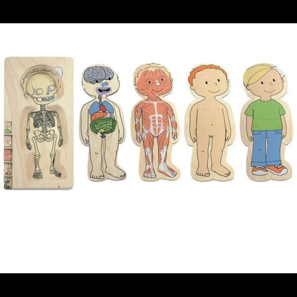 New Hape by Beleduc 5-Layer wooden Body Puzzle - Picture 5 of 11